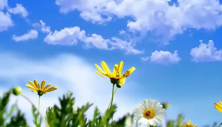 توقعات حالة الطقس